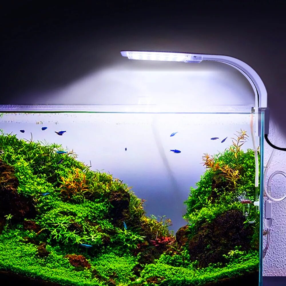 Нужен рыбкам свет ночью. Aquarium led Light RS-f30. Подсветка для аквариума. Лампа для аквариума. Аквариум п.