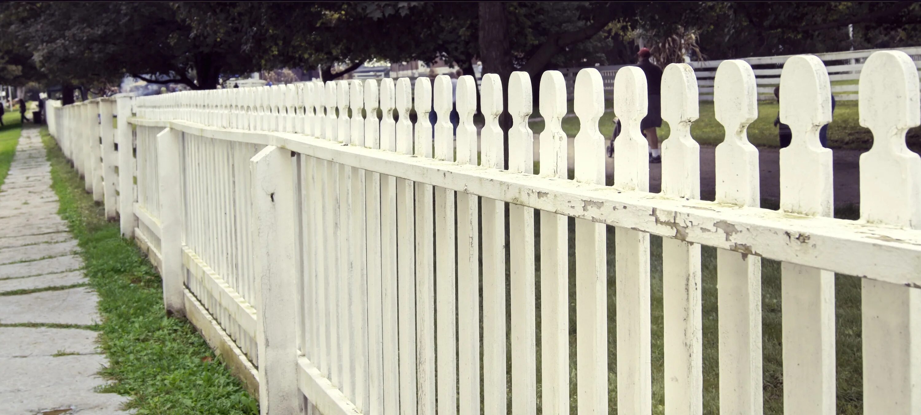 Чем покрасить деревянный забор на улице. Белый деревянный забор. Красивый белый забор. Белый забор из дерева. Старый деревянный забор.