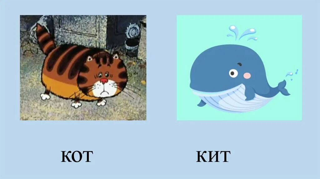 Кит и кот читать. Кит и кот. Кит и кот иллюстрации. Карточки логопедические кот кит кот. Кит и кот рисунок.