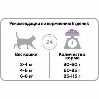 Норма корма для кошки в день