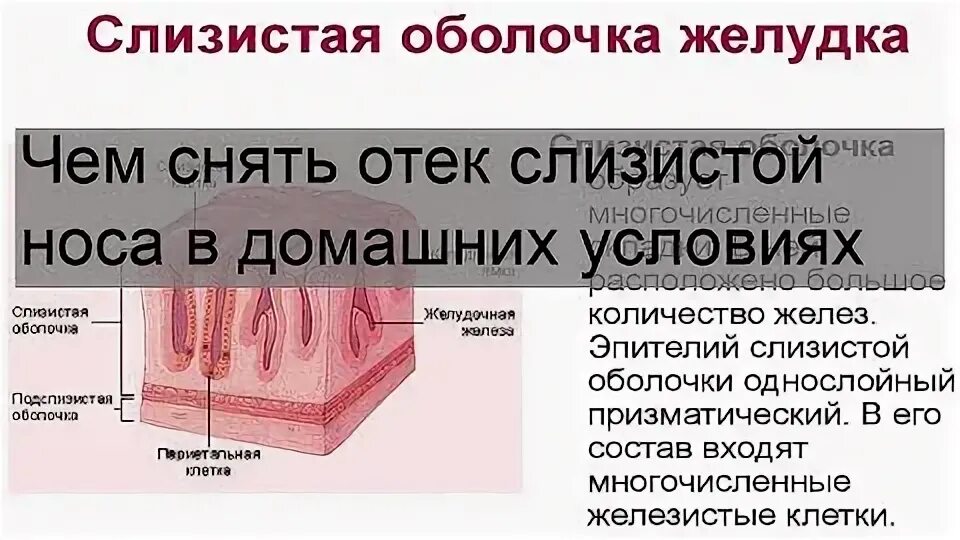Как быстро снять отек слизистой носа. Как быстро снять отек слизистой носа