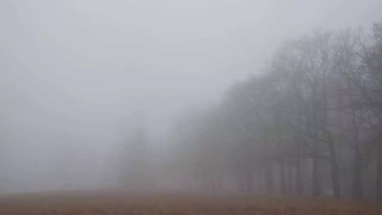 Кислотный туман. Густой туман в море. Wagner vs fog. Туман видео. Кронштадт туман.