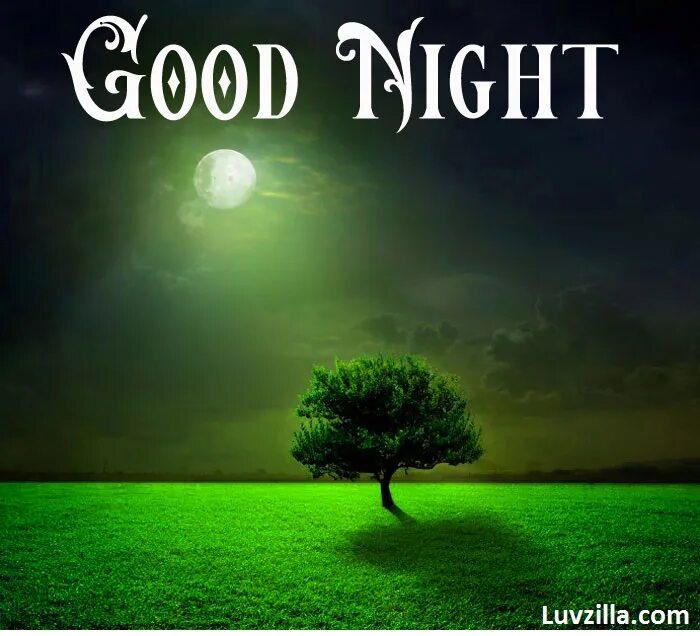 Надпись найт. Night night text. Night night text. Long day good night. Good night for him.