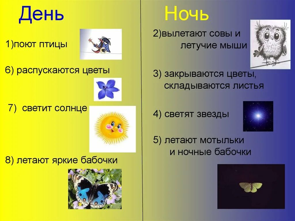 Реакция день ночь. День ночь презентация. Презентация на тему день и ночь. Влияние смены дня и ночи на животных. Презентация про день и ночь 1 класс.