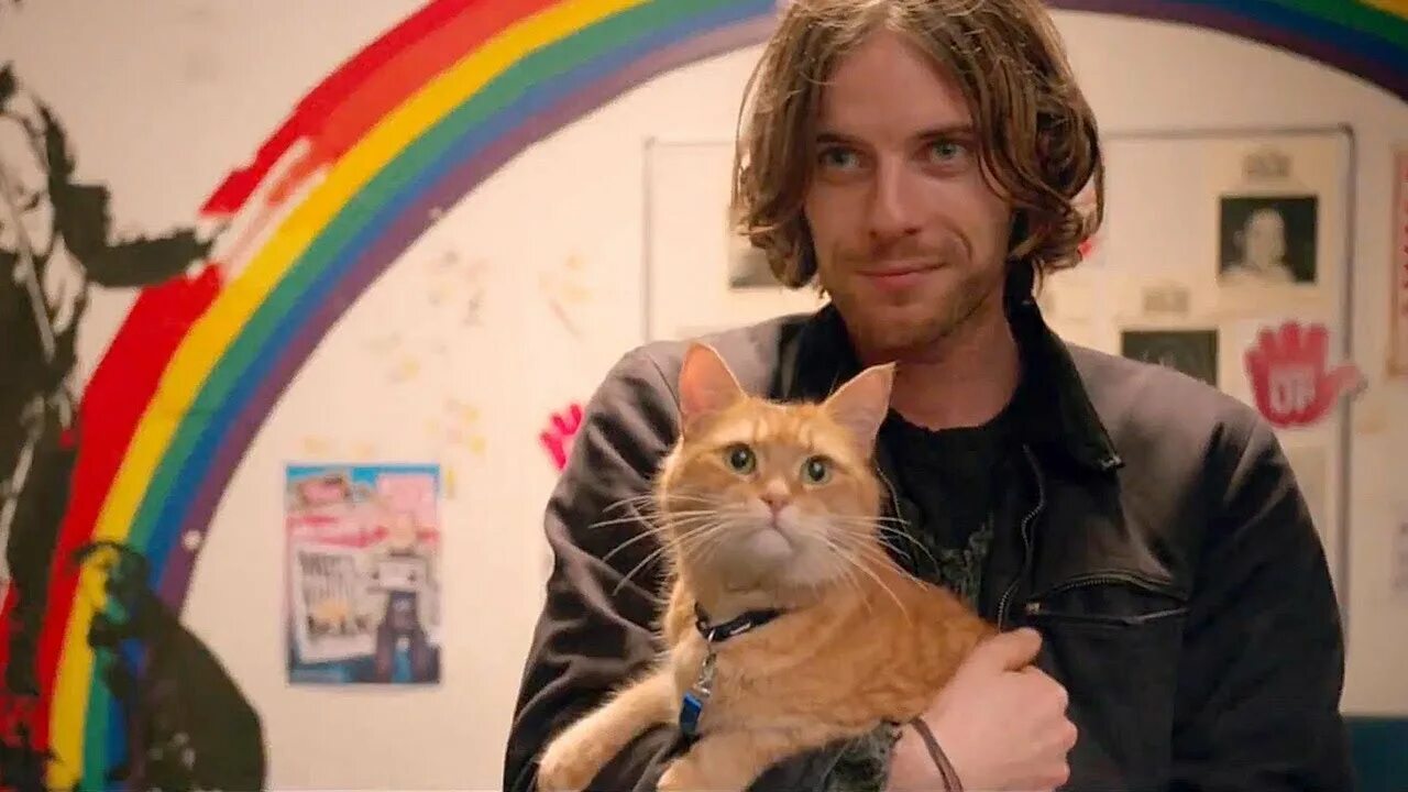 Кот по кличке 13. Уличный кот по кличке боб (2016). Житель по имени боб. Кот по кличке 13. Игрушки кота боба.