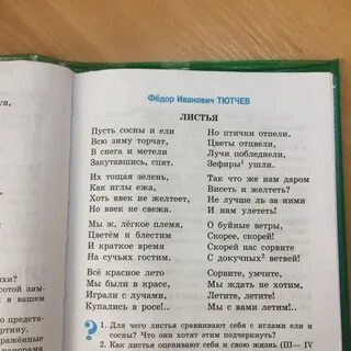 Пусть сосны