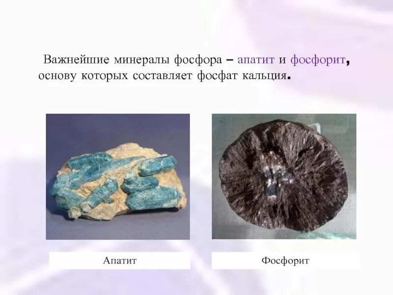 Минерал фосфора. Фосфорит. фосфориты полезные ископаемые. фосфорит минерал. фосфаты минералы.
