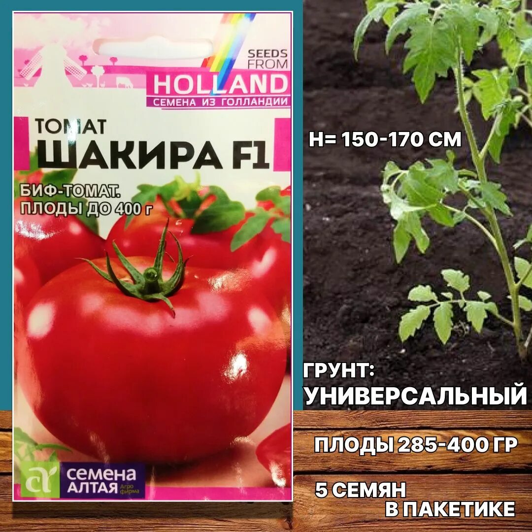 Сорт томата жрица описание и отзывы. Томат жрица семена алтая. помидор жрица. томат жрица описание.