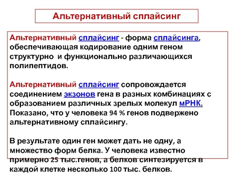 Альтернативный сплайсинг. Альтернативный ген. Один ген кодирует один полипептид. Один ген может кодировать несколько различных полипептидов. 1 ген 1 полипептид