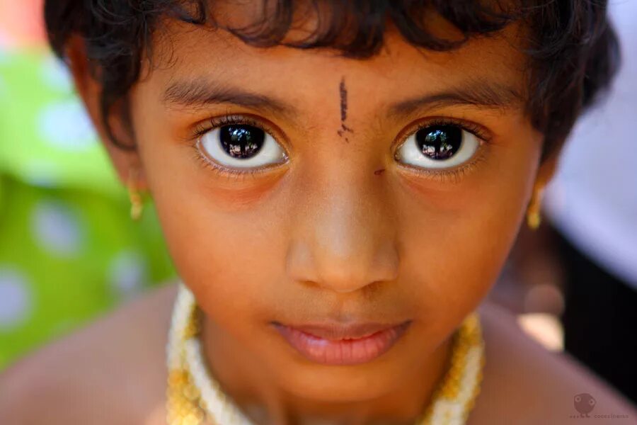Экзотические глаза. Необычный цвет глаз. Самый необычный цвет глаз. Дети с необычными глазами. Индийская девочка с голубыми глазами.