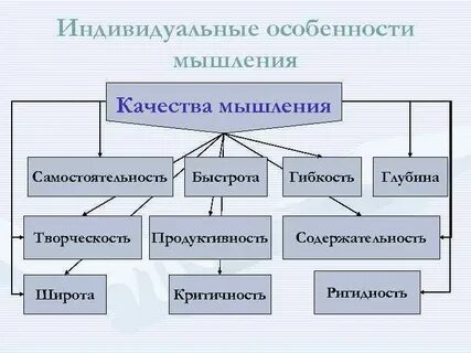 Процессы мышления индивидуальные особенности мышления