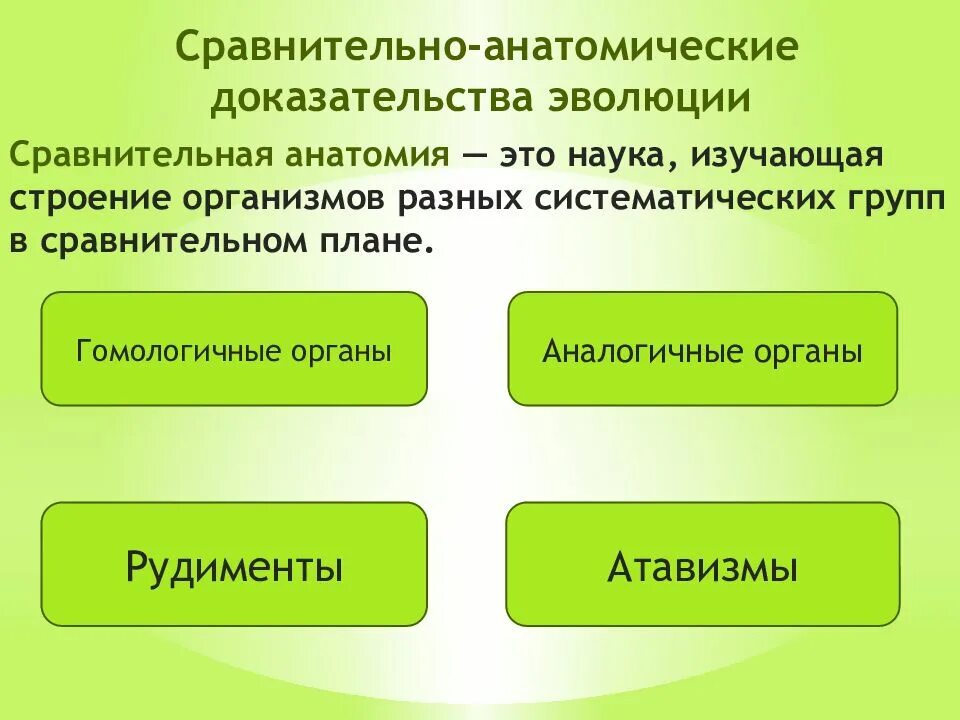Сравнительная анатомия наука. Сравнительная анатомия изучает. задачи сравнительной анатомии. аналогичные и гомологичные органы доказательства эволюции. сравнительная анатомическая.