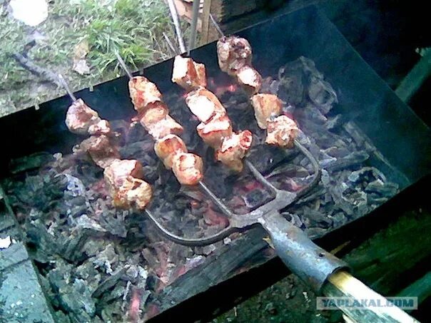 Жарить шашлык прикол. Шашлык на шампуре.