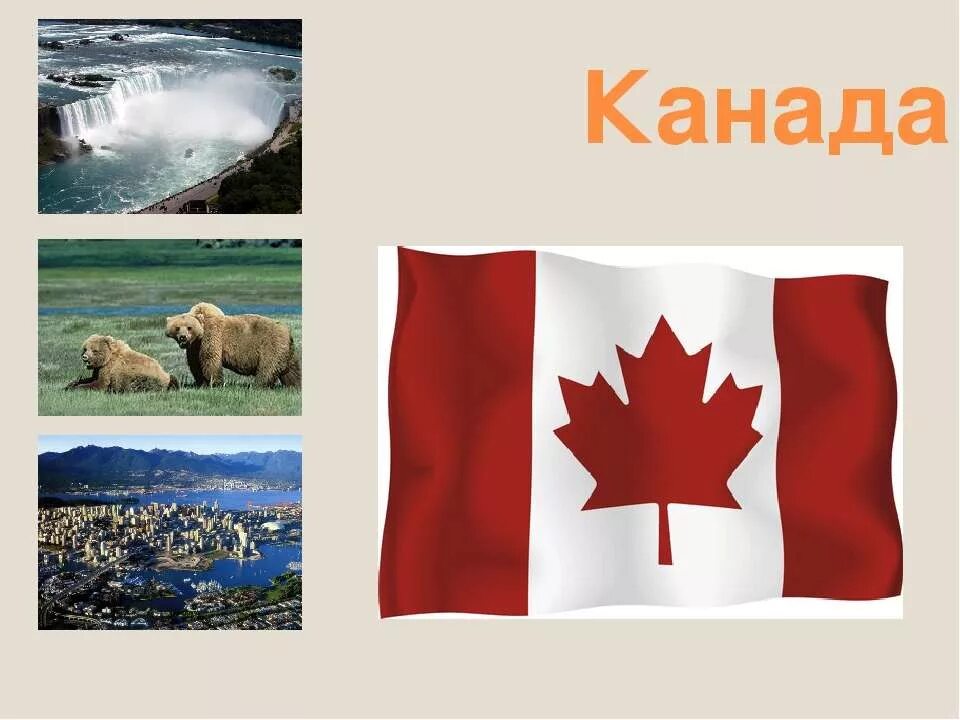 Занятие канады. Основное занятие населения канады. Занятие канады. Канадцы люди. Канадские жители.