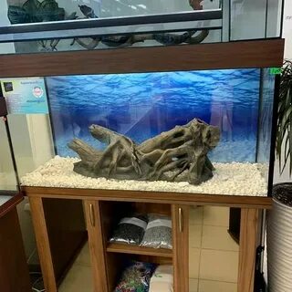 Рейтинг аквариумов