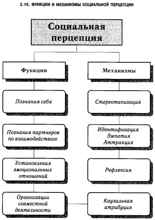 Процесс социальной перцепции схема Типовые схемы перцепции