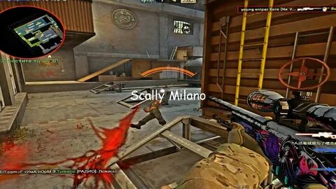 Scally milano краснодар