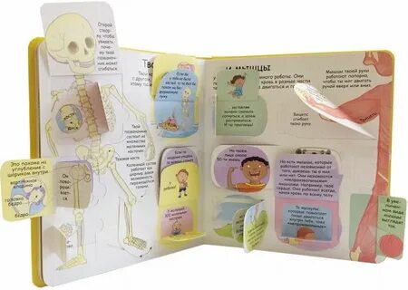 Книги робинс