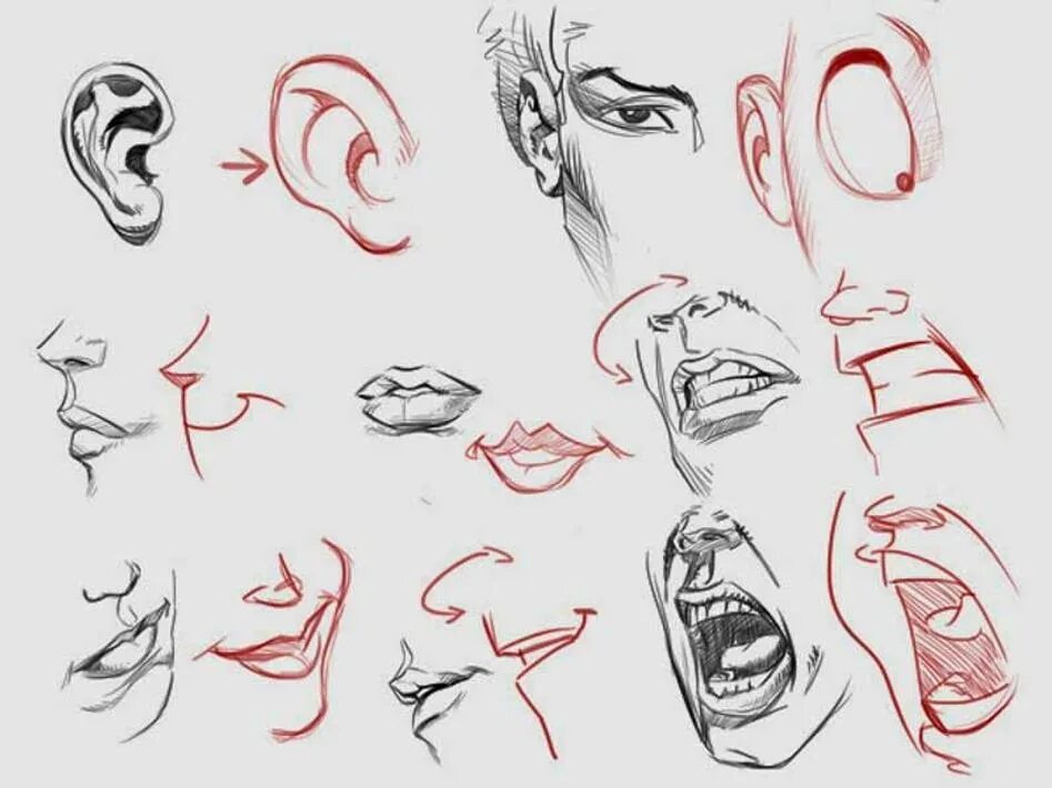 Рисуем открытый. Рот в профиль референс. Открытый рот профиль референс. Референс лицо с открытым ртом. Профиль с открытым ртом референс.