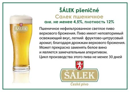 Салек