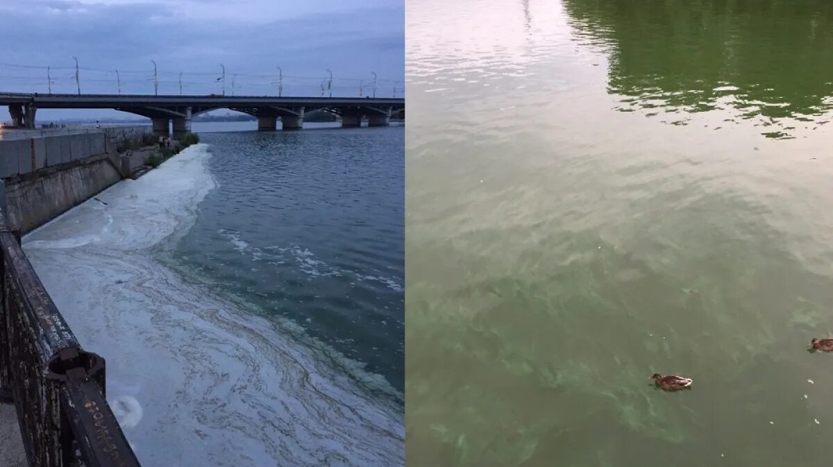 Загрязнение водохранилища. Загрязненное водохранилище Воронеж. Водохранилище Воронеж загрязнено. Загрязнение водохранилища Воронеж. Грязное Воронежское водохранилище.