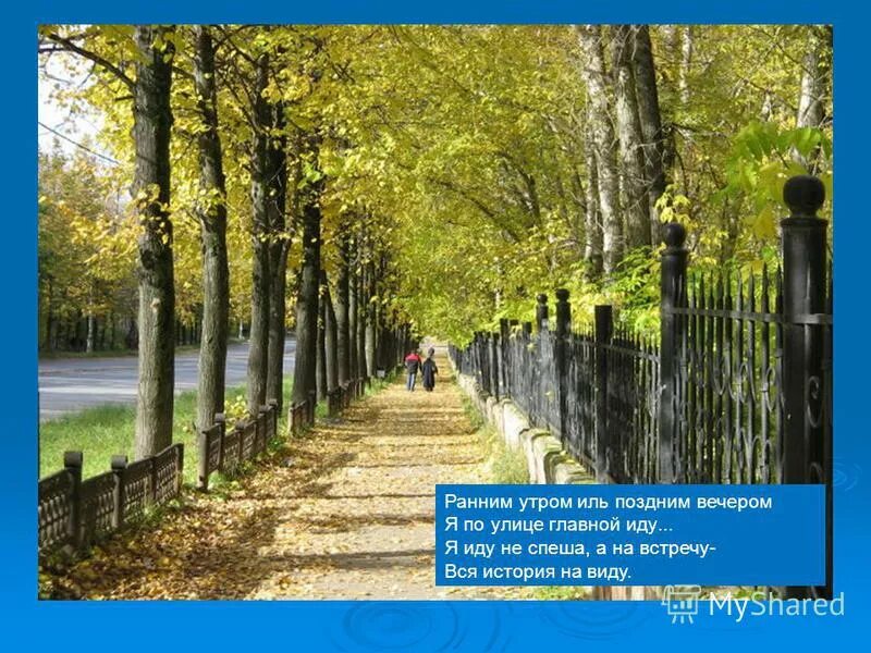 рассвет туман. предложение с раннего утра до позднего. с раннего утра до позднего вечера. летний рассвет в лесу. с раннего утра до позднего вечера.