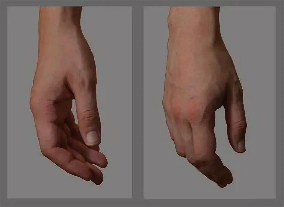 ArtStation - Anatomy of the Upper Limb (UDIM) Resources