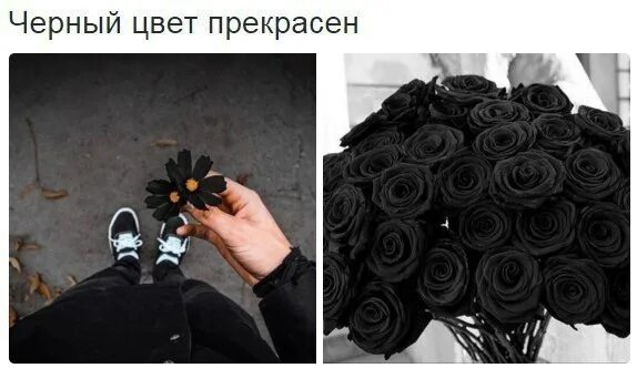 Что может быть черного цвета