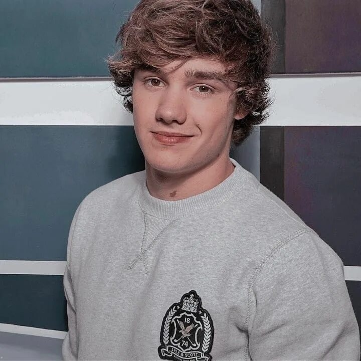 Liam Payne Met The Queen And The Internet Can't Cope Marie Claire UK