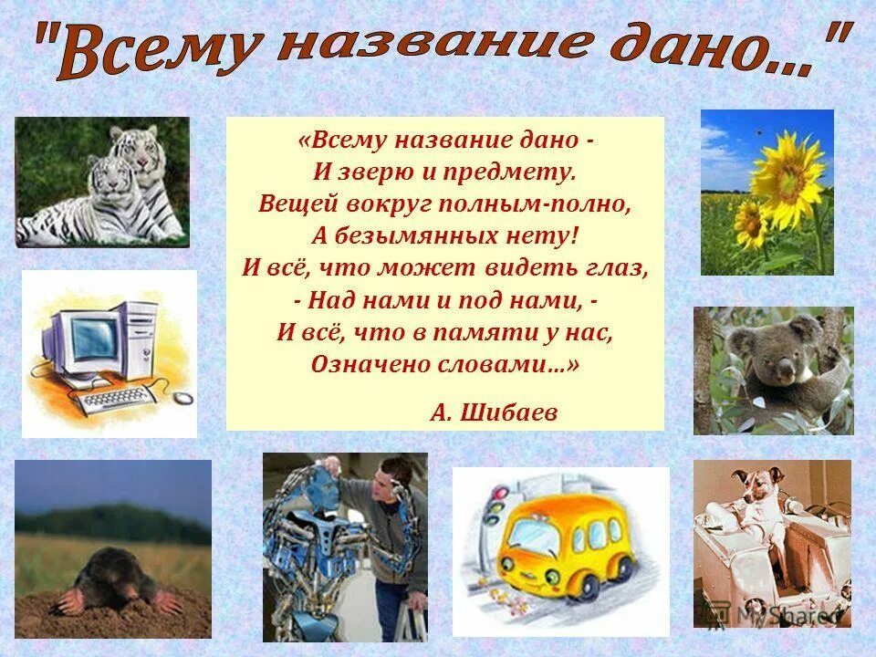 Что дали называл главным. Всему название дано и зверю и предмету стих. Стих всему название дано. Предметы вокруг нас названия. Мир предметов вокруг нас стишки.