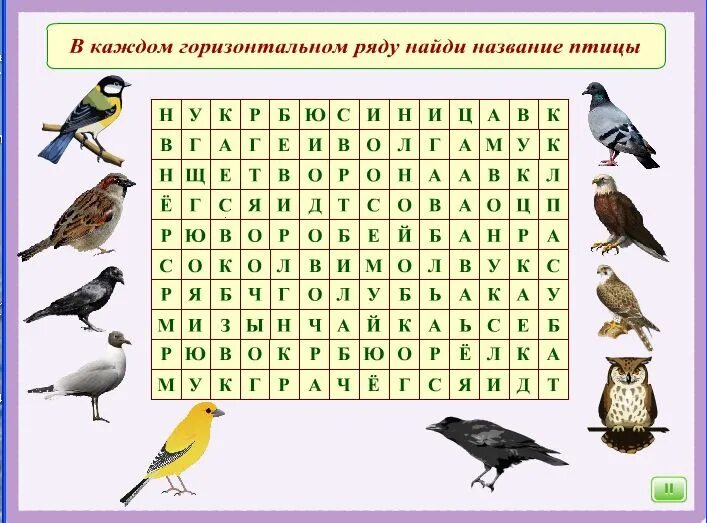 Филворд зимующие птицы для детей. Найди названия птиц для детей. Кроссворд про птиц. Кроссворд птицы для дошкольников.