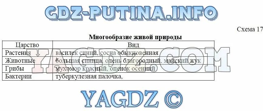 Биология 6 класс рабочая тетрадь 18 параграф. Биология 5 класс рабочая тетрадь Бодрова. Биология 6 класс рабочая тетрадь Бодрова. Биология 5 класс рабочая тетрадь Бодрова синяя. Биология 5 класс параграф 30.