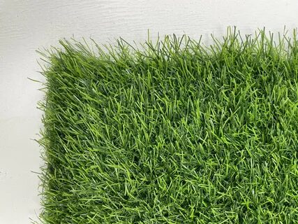 Premium grass