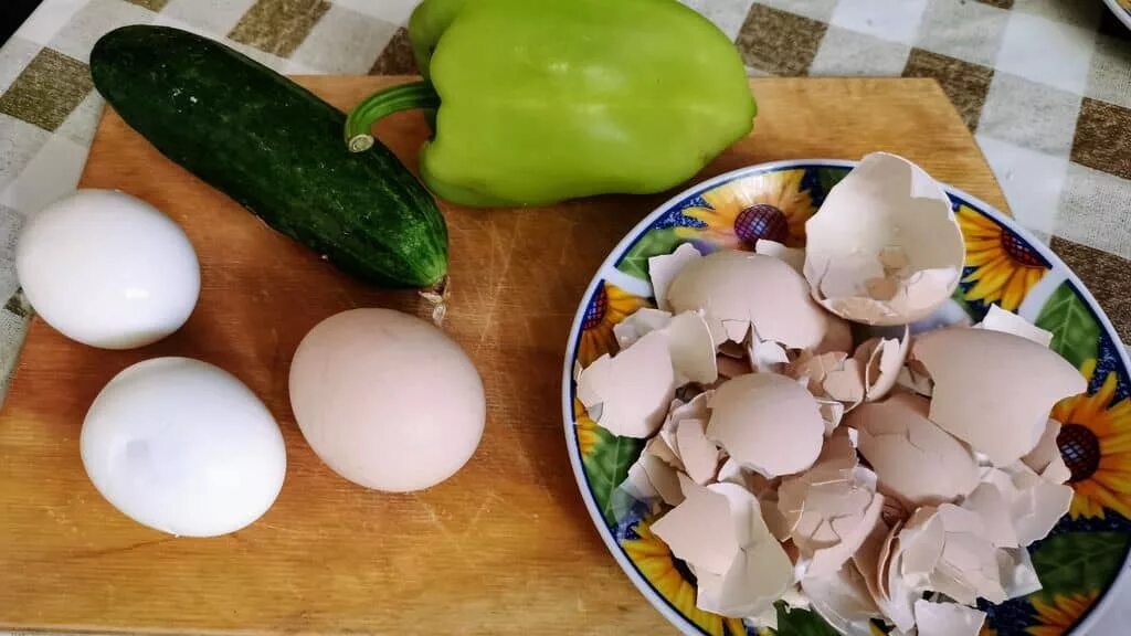 Яичная скорлупа и уксус. Скорлупки яиц в огороде. Яичная скорлупа для огорода. Скорлупа яичная. Скорлупа яиц для огорода.