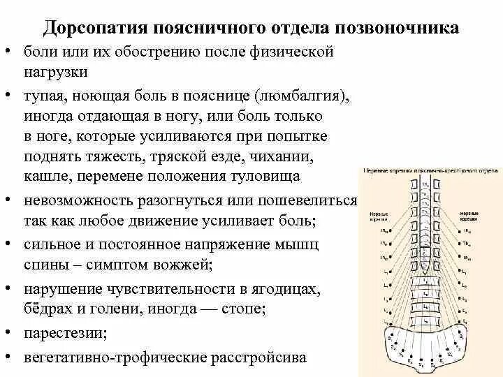 Локальный статус позвоночник. Дорсопатия пояснично-крестцового отдела диагноз. Дорсопатии поясничного отдела позвоночника. Лекарства при дорсопатии поясничного отдела. Дорсопатия шейно-грудного отдела позвоночника что это такое.