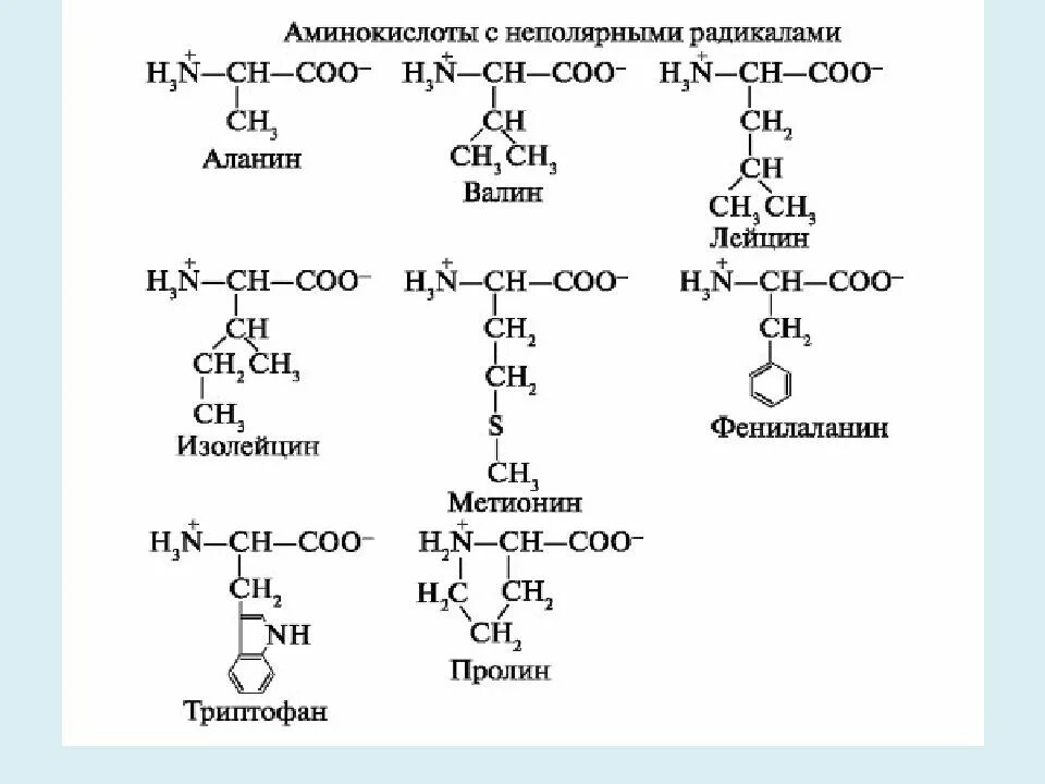 Аминокислотные радикалы