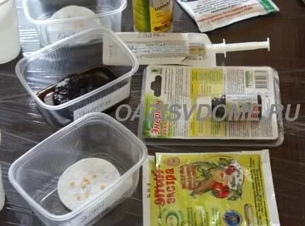 На сколько замочить семена помидор в эпине