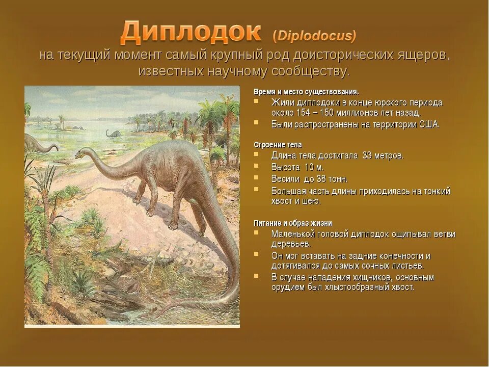 Сообщение о динозаврах 1. Динозавр Диплодок описание для 1 класса. Травоядные динозавры Диплодок. Диплодок доклад 1 класс. Диплодок описание для детей.