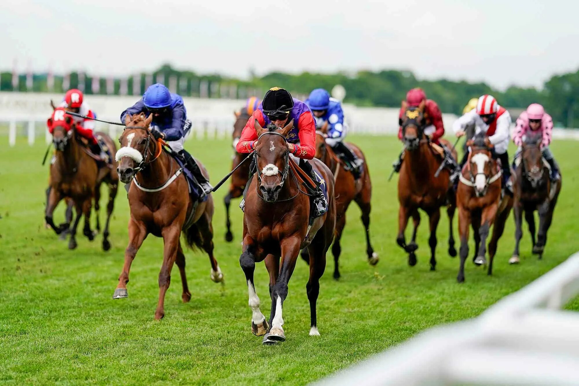 Роял аскот скачки. Королевские скачки аскот. Royal ascot race. Ascot horse race. Ascot horse race.