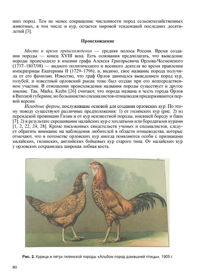 Кур перевод на русский. Куры несушки Орловские. Происхождение пород домашних кур. Название пород кур несушек. Скрещивание пород кур.