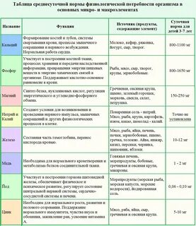 Таблица значение витаминов для человека