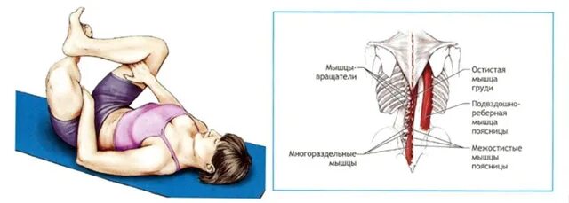 Упражнения для растяжки подвздошно поясничной мышцы. Растяжка подвздошно поясничной мышцы упражнения. растянуть подвздошно-поясничную мышцу. синдром подвздошно-поясничной мышцы упражнения растяжка.