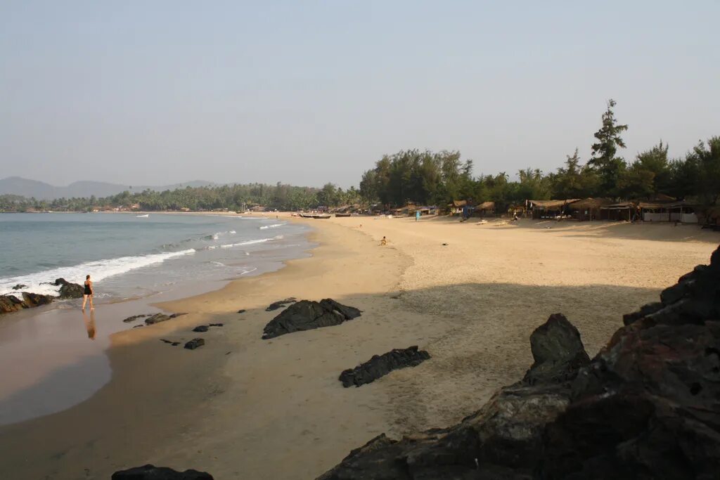 Марый. Мараго. Кофе мадео марагоджип никарагуа. Мартысевiч м. Марагоджип кофе в зернах.