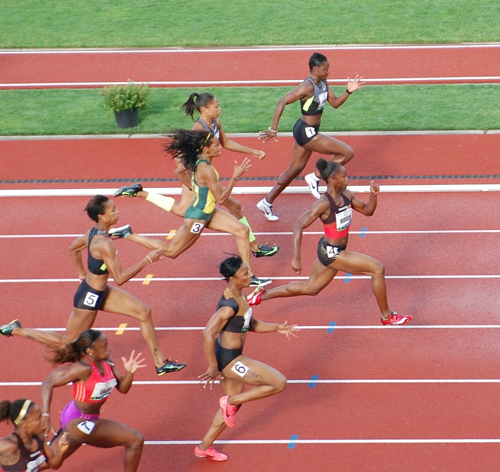 Джойнер Керси. Легкая атлетика бег женщины. Девушки спринт 100 метров. Field run