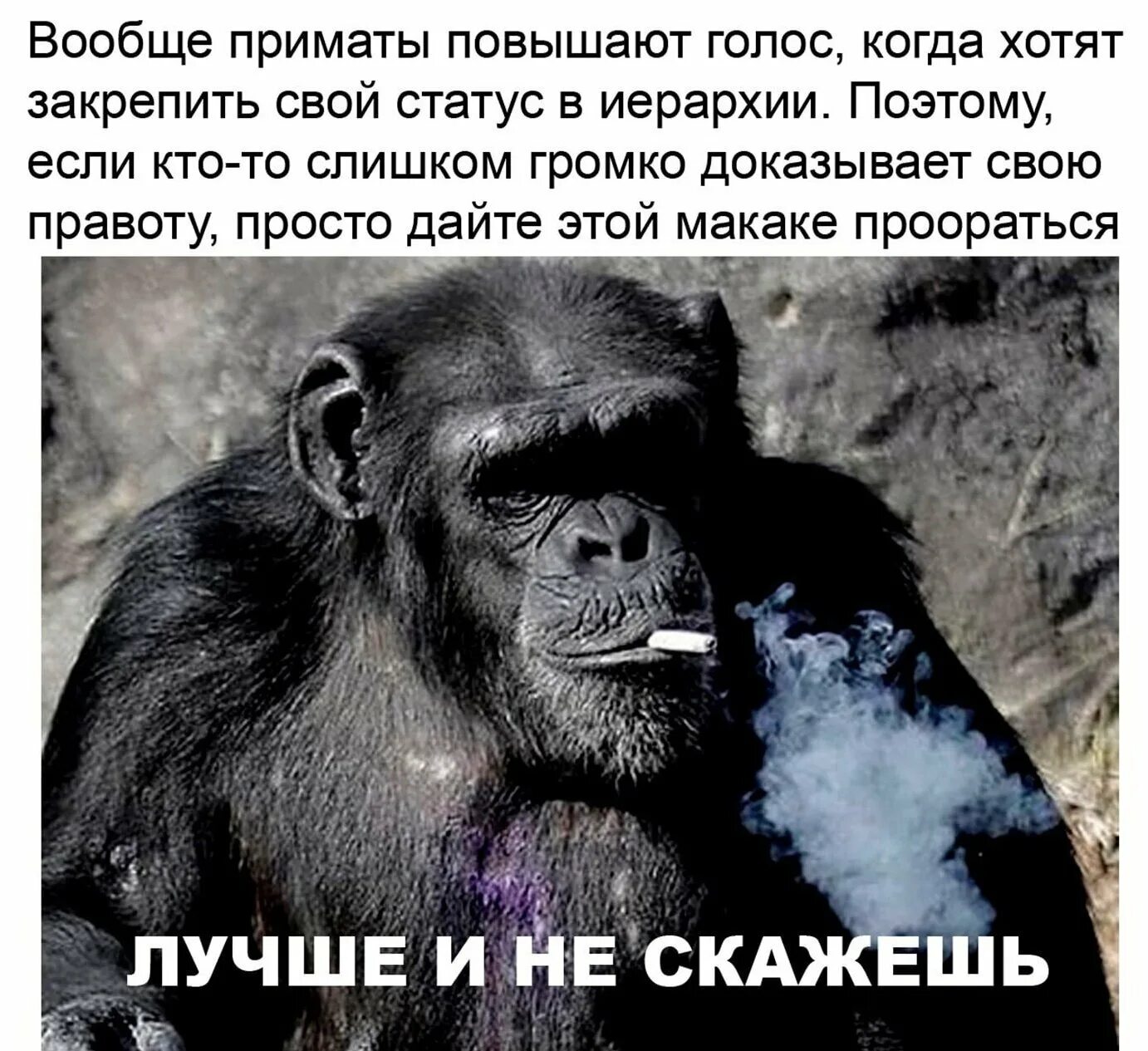 Почему плачешь когда повышают голос