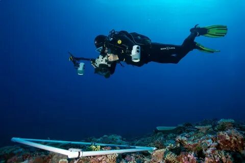 Live in ocean