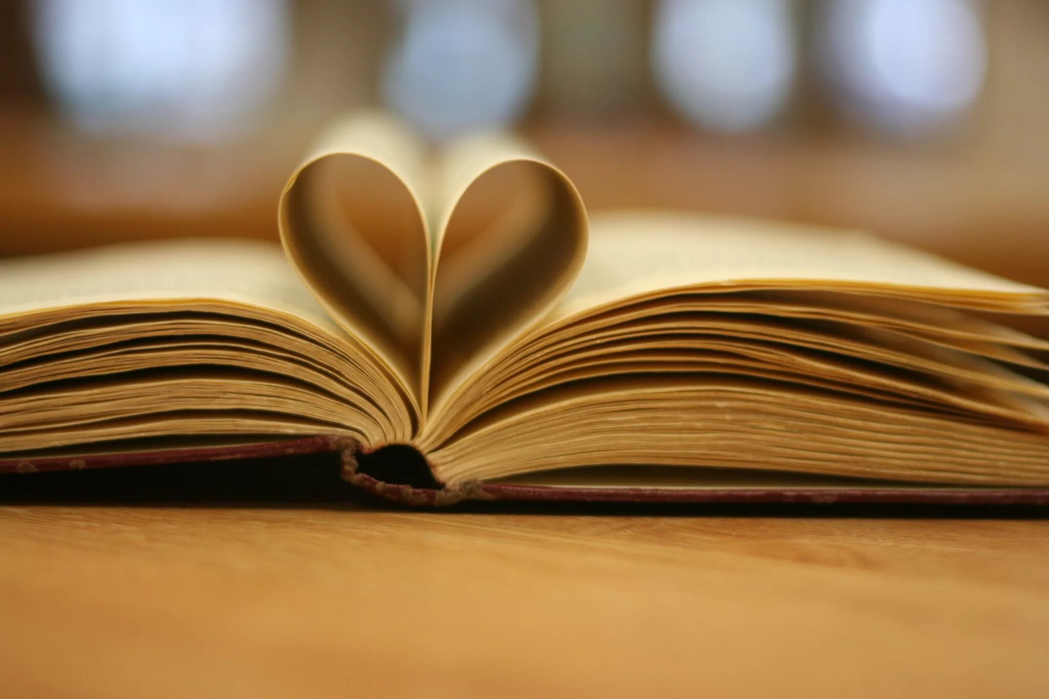 Authors image