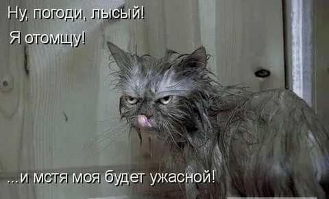 За него отомстят