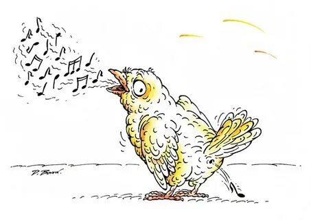 Карикатура птицы