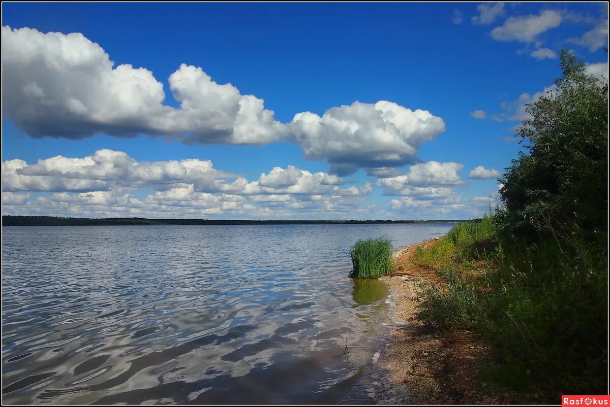 Берег волги нижегородская область